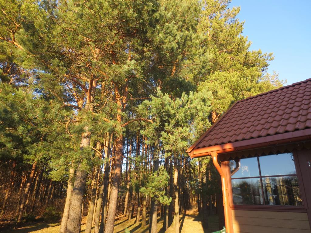 Seaside Villa Karklė Exterior foto
